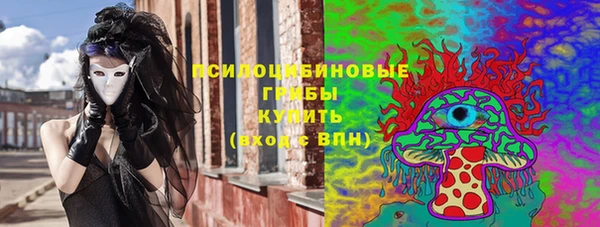 экстази Арсеньев