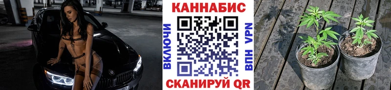 OMG вход  цена   Константиновск  Шишки марихуана сатива 